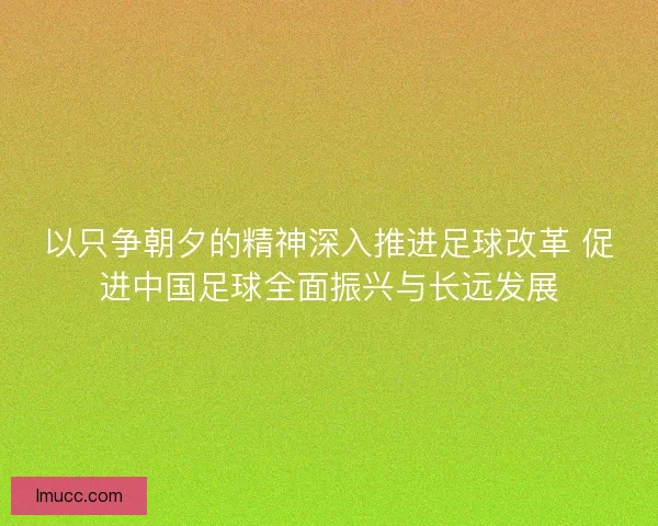 以只争朝夕的精神深入推进足球改革 促进中国足球全面振兴与长远发展