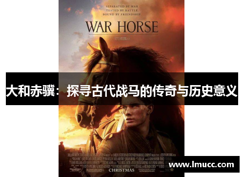 大和赤骥：探寻古代战马的传奇与历史意义